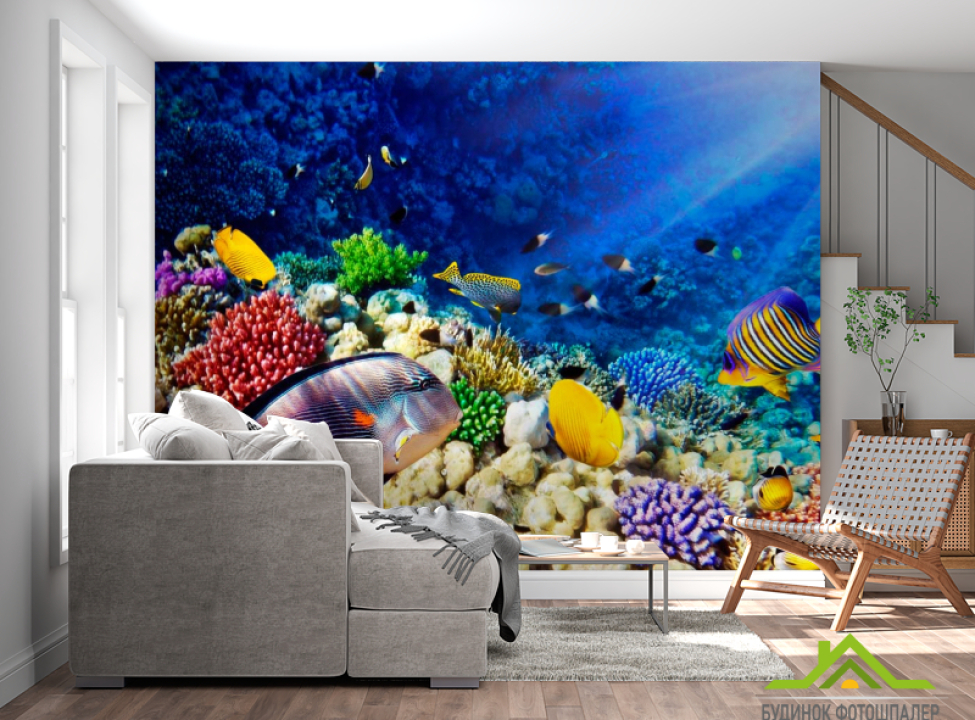 выбрать Фотошпалери Риби в глибині Каталог фотошпалер на стіну