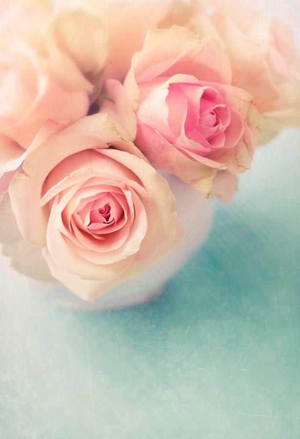 Фотошпалери Бежеві троянди у вазі