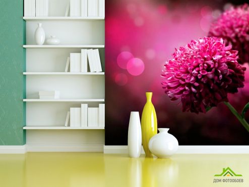 выбрать Фотообои Малиновые хризантемы Фотообои Фотообои Цветы: фото, розовый  на стену