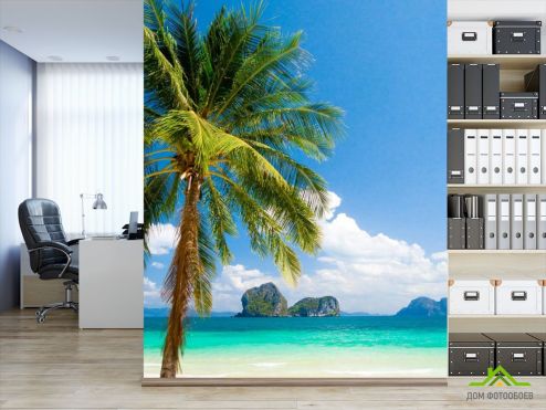 выбрать Фотообои пальма на берегу моря Фотообои Фотообои Природа: вертикальная ориентация на стену