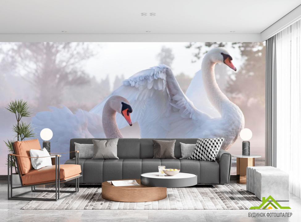 выбрать Фотообои Лебеди Каталог фотообоев на стену