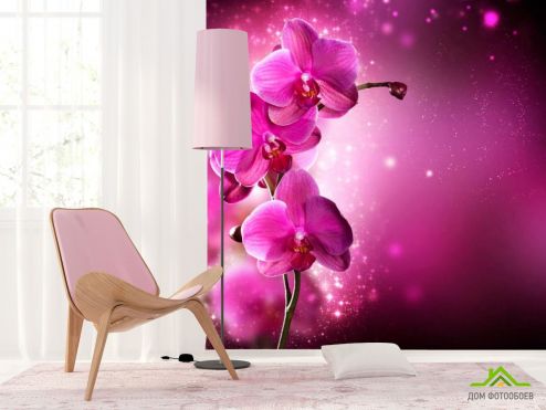 выбрать Фотообои Малиновые орхидеи веткой Фотообои Цветы на стену