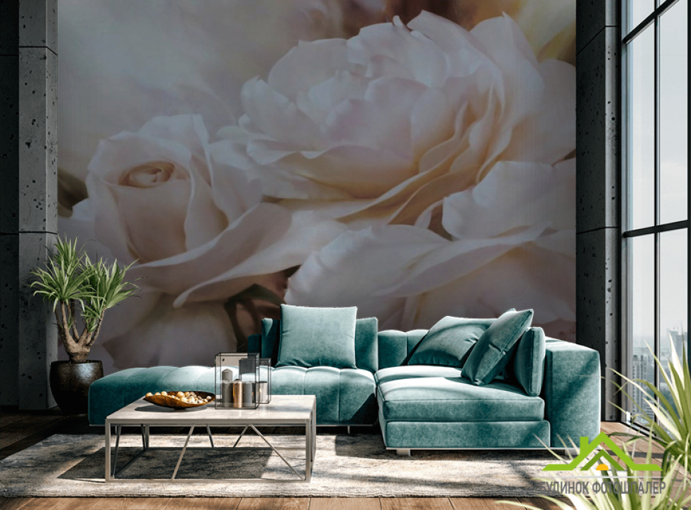 выбрать Фотообои Белая роза Каталог фотообоев на стену