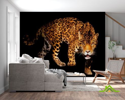 выбрать Фотообои Нападающий гепард Фотообои Фотообои Животные: фото, горизонталная, горизонтальная  на стену