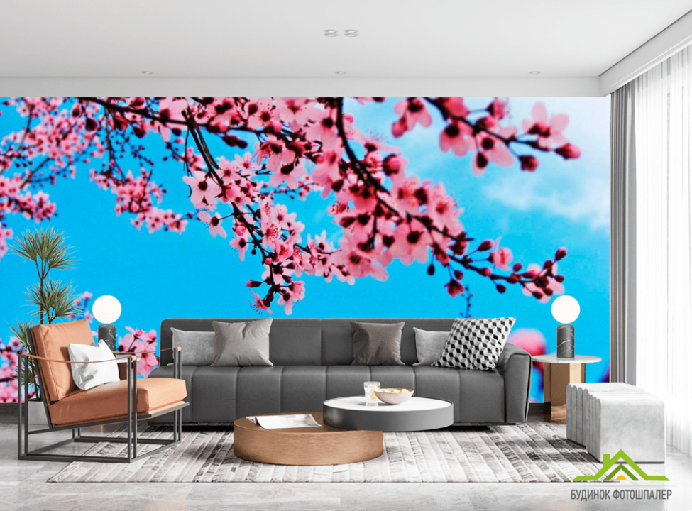 выбрать Фотообои Цветущая весной вишня Каталог фотообоев на стену