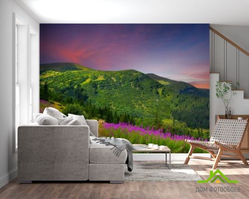 выбрать Фотошпалери Фіолетовий захід на галявині Фотошпалери Природа на стіну