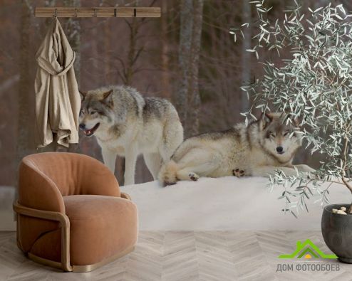 выбрать Фотообои два волка на снегу Фотообои Животные на стену