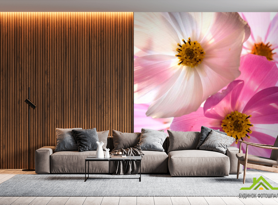 выбрать Фотошпалери Відтінки шипшини Каталог фотошпалер на стіну