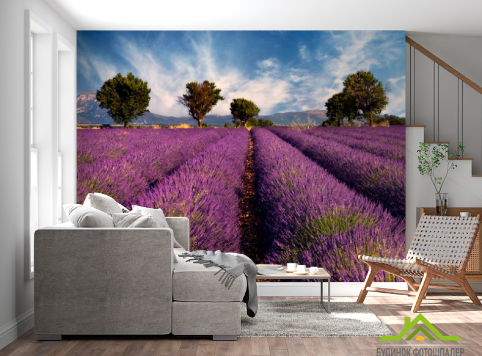 выбрать Фотошпалери Поле квітів Каталог фотошпалер на стіну