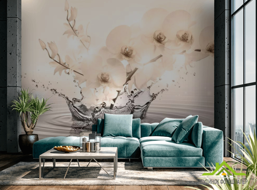 выбрать Фотообои Орхидея Каталог фотообоев на стену