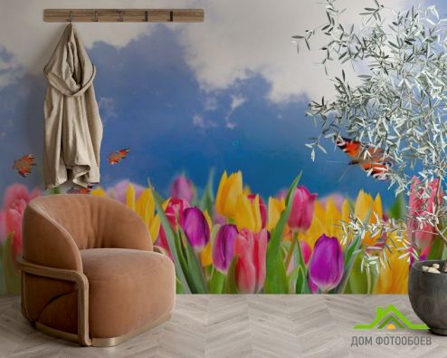 выбрать Фотообои Тюльпаны и бабочки Голубые фотообои на стену