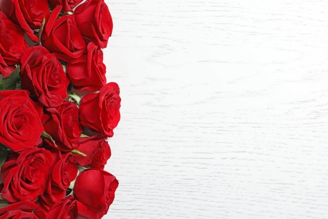 Фотообои красные розы на белом фоне