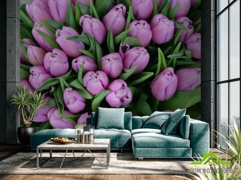 выбрать Фотообои Букет фиолетовых тюльпанов  на стену