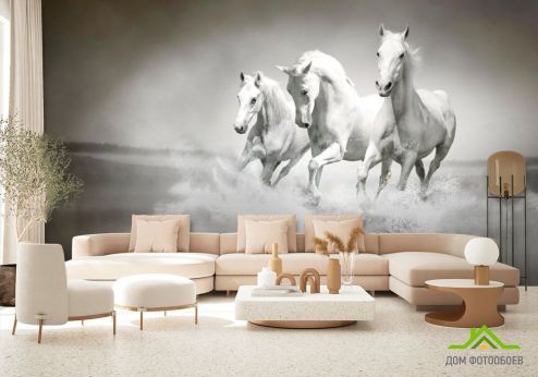 выбрать Фотообои Белые кони Фотообои Лошади на стену