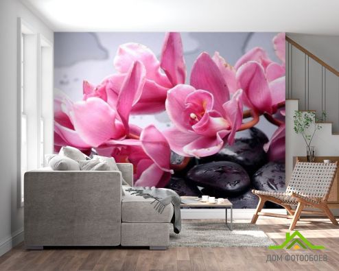 выбрать Фотообои Орхидеи розовые веткой Фотообои Фотообои Цветы: фото, розовый  на стену