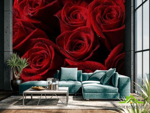 выбрать Фотошпалери Букет троянд червоного кольору Фотошпалери Фотошпалери Квіти: квадратна, горизонтальна, червоний орієнтація на стіну
