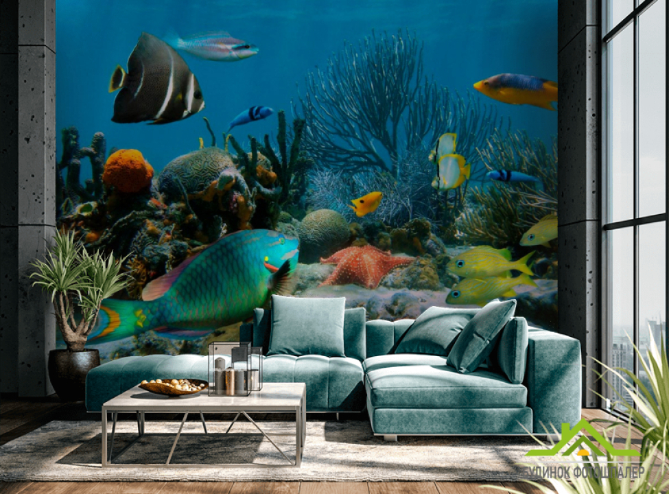 выбрать Фотошпалери Морські риби Каталог фотошпалер на стіну