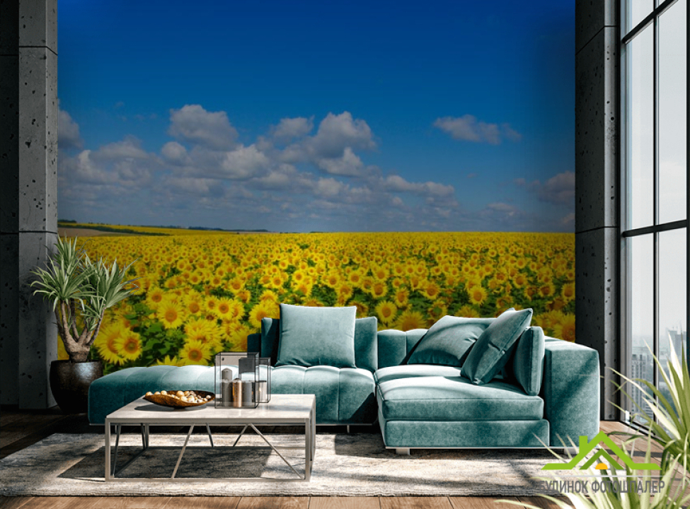 выбрать Фотообои подсолнухи и голубое небо Каталог фотообоев на стену