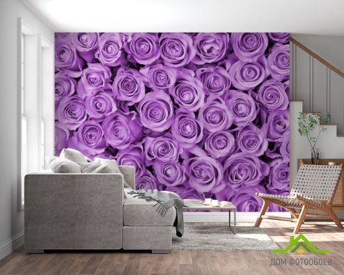 выбрать Фотообои Розы Фотообои Фотообои Цветы: горизонталная, горизонтальная, картинка ориентация на стену