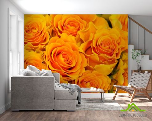 выбрать Фотообои Розы желтого оттенка Желтые фотообои на стену