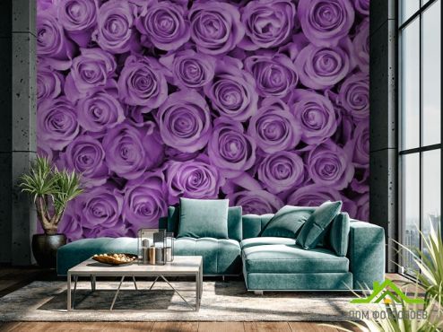 выбрать Фотообои Розы Фиолетовые фотообои на стену