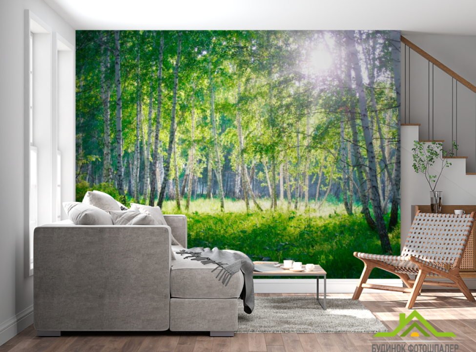 выбрать Фотошпалери Молоді берези Фотошпалери ліс на стіну