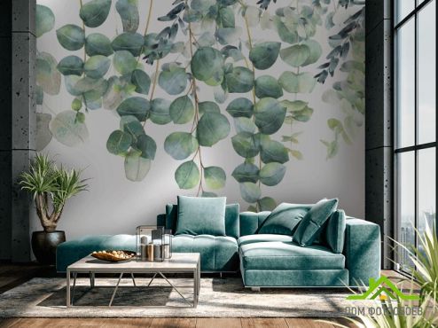 выбрать Фотообои Эвкалиптовые листья Скандинавский стиль на стену