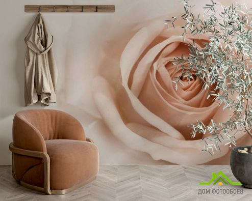 выбрать Фотообои Роза кремово-коричневая Фотообои Фотообои Розы: горизонталная, горизонтальная ориентация на стену