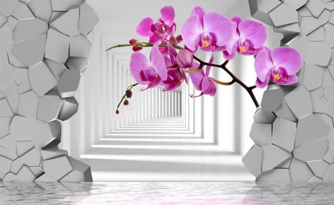 Фотошпалери 3D орхідея