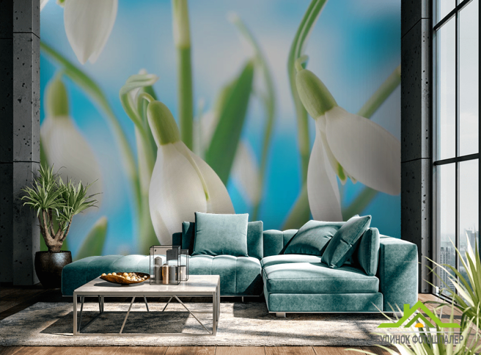 выбрать Фотообои подснежники Каталог фотообоев на стену