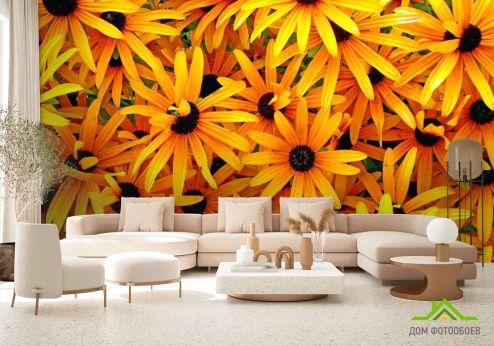 выбрать Фотошпалери Квіти жовтого кольору Фотошпалери Фотошпалери Квіти: квадратна, горизонтальна орієнтація на стіну