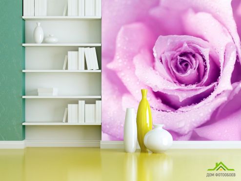 выбрать Фотообои Роза Фотообои Фотообои Цветы: розовый на стену