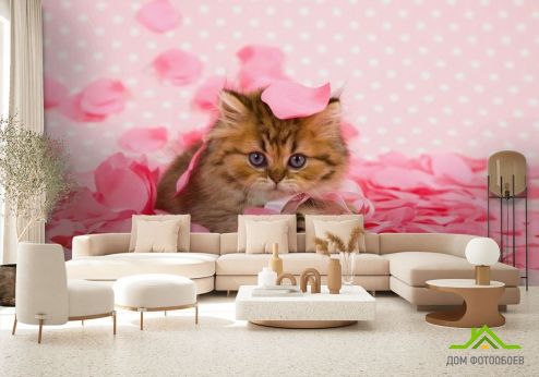 выбрать Фотообои котёнок в лепестках роз Фотообои Животные на стену