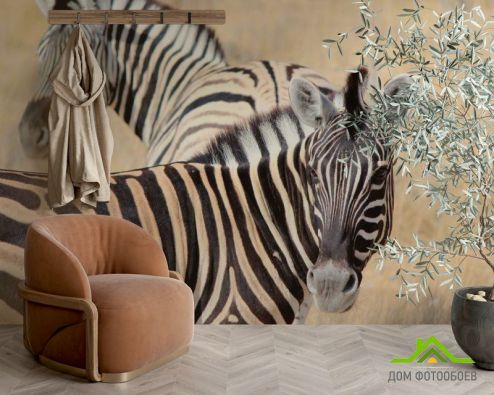 выбрать Фотообои Настороженные зебры Фотообои Фотообои Животные: горизонталная, горизонтальная ориентация на стену