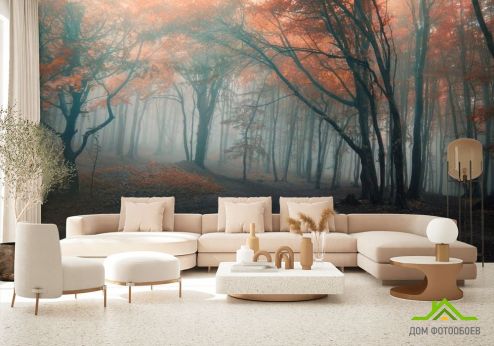выбрать Фотообои осенний лес Фотообои, цвет: «горизонталная, горизонтальная» на стену