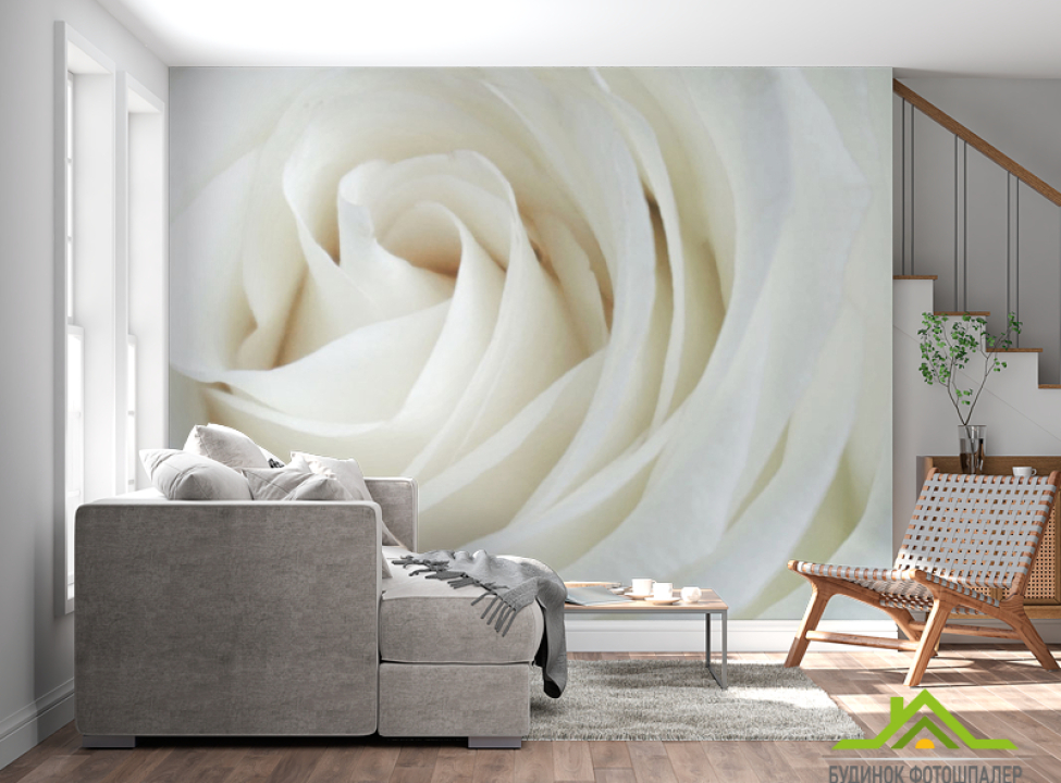 выбрать Фотошпалери Біла троянда Каталог фотошпалер на стіну