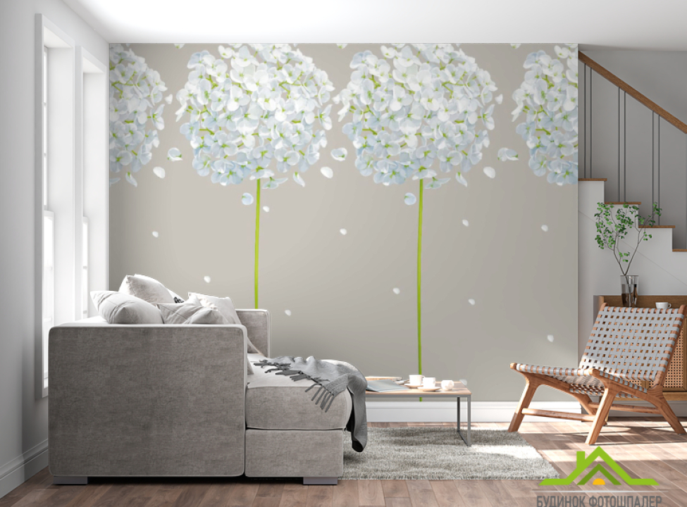 выбрать Фотообои одуванчики Каталог фотообоев на стену