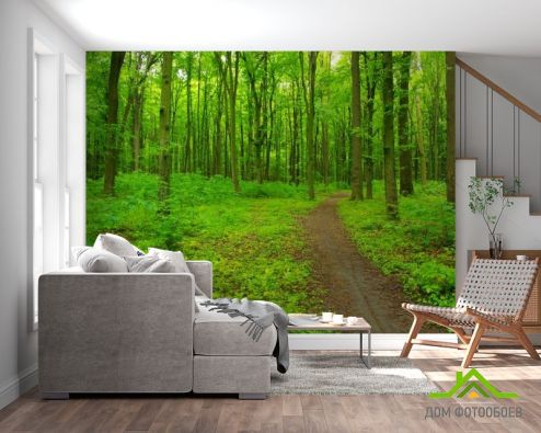 выбрать Фотошпалери яскраво-зелений ліс Фотошпалери Фотошпалери Природа -  на стіну