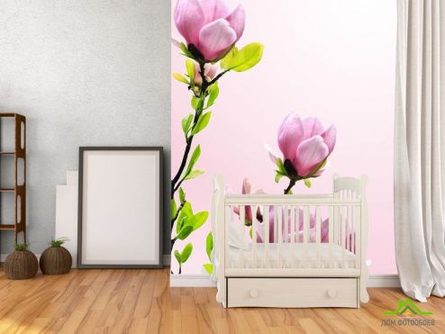 выбрать Фотообои ветка с розовыми цветочками Фотообои, цвет: «вертикальная» на стену