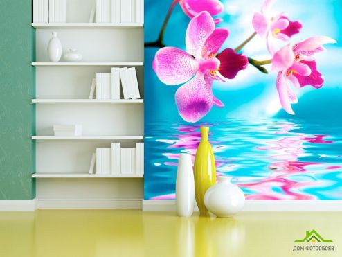 выбрать Фотообои Орхидеи над рекой Фотообои Фотообои Орхидеи: фото, голубой  на стену