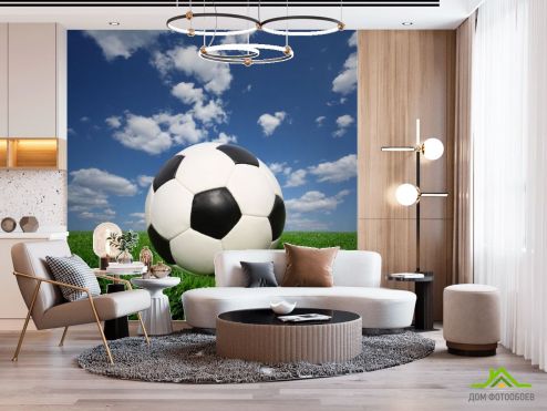 выбрать Фотообои мяч на траве Фотообои Спорт на стену