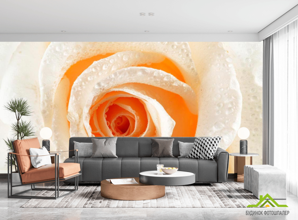 выбрать Фотошпалери Кремова троянда макро-зйомка Каталог фотошпалер на стіну