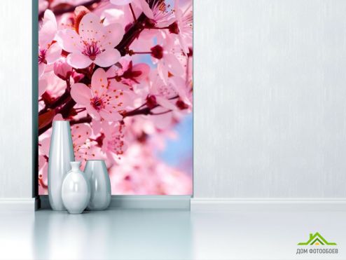 выбрать Фотошпалери Квітуче рожевим дерево Фотошпалери Фотошпалери Квіти: вертикальна орієнтація на стіну