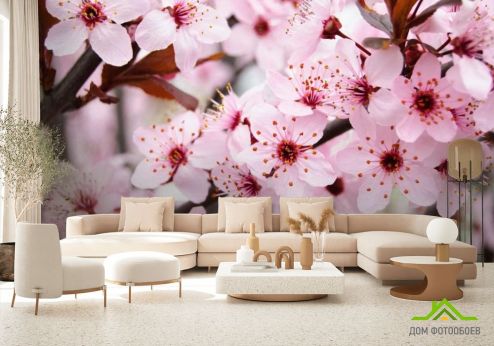 выбрать Фотообои Цветущее весной деревце Розовые фотообои на стену