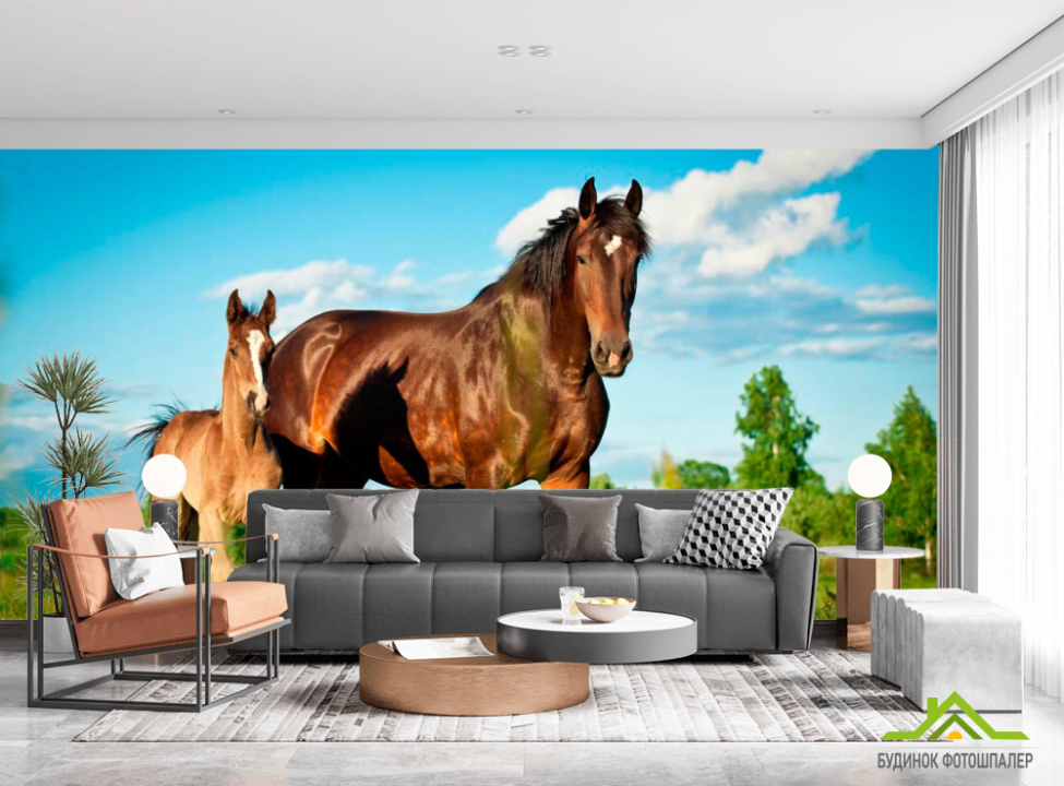 выбрать Фотошпалери Кінь з лошам Каталог фотошпалер на стіну