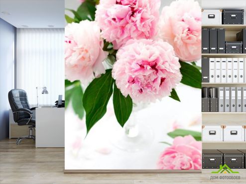 выбрать Фотообои Бледно-розовые пионы Розовые фотообои на стену