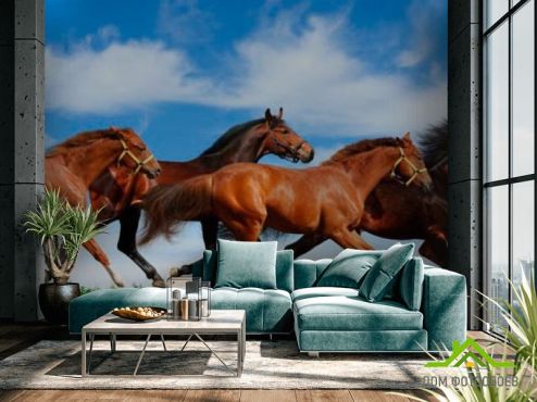 выбрать Фотообои Табун бегущих лошадей Фотообои Фотообои Животные: фото, Лошади  на стену
