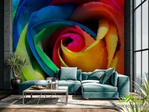 выбрать Фотообои Разноцветная роза Фотообои Фотообои Цветы: фото  на стену