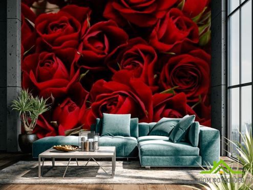 выбрать Фотообои Розы алые Фотообои Фотообои Цветы: фото, горизонталная, горизонтальная  на стену