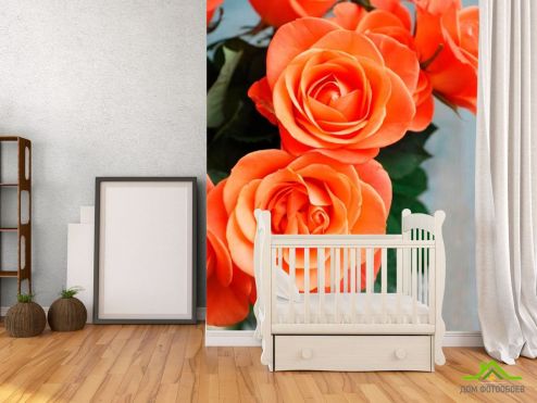 выбрать Фотообои Розы цвета кораллов Оранжевые фотообои на стену